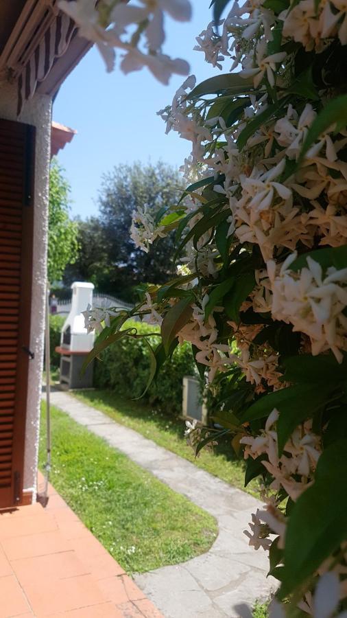 Villetta Cinquale Versilia Exterior photo