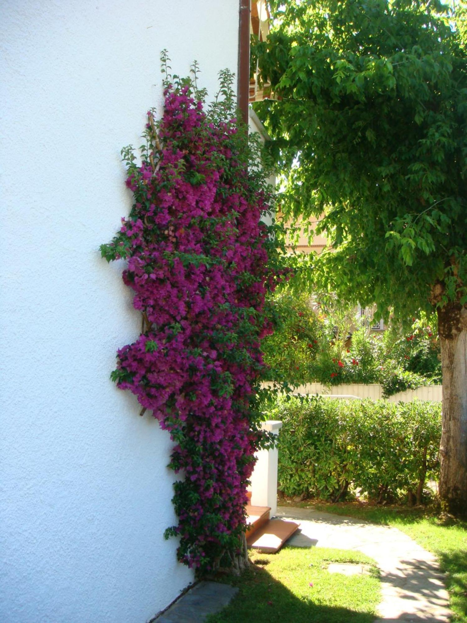 Villetta Cinquale Versilia Exterior photo