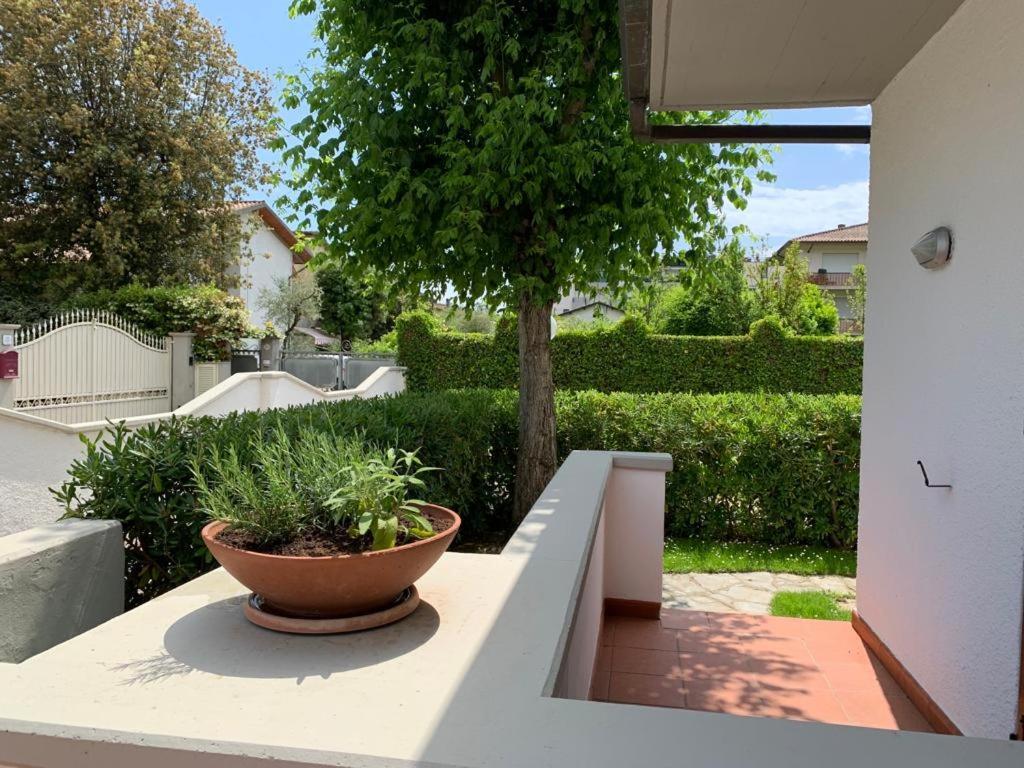 Villetta Cinquale Versilia Exterior photo